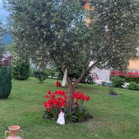 Linda Kwatera prywatna Szkodra