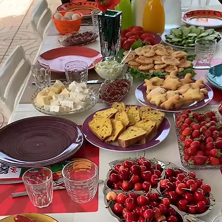 Linda * Shkodër