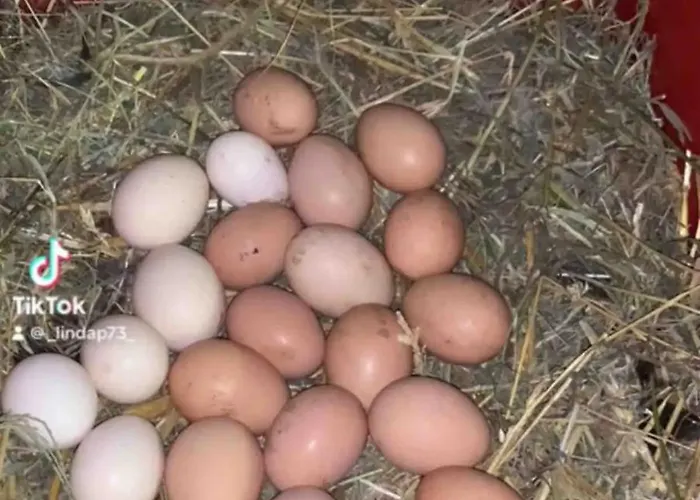 Rum i privatbostad Linda