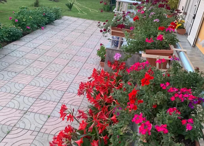 Linda ホームステイ *