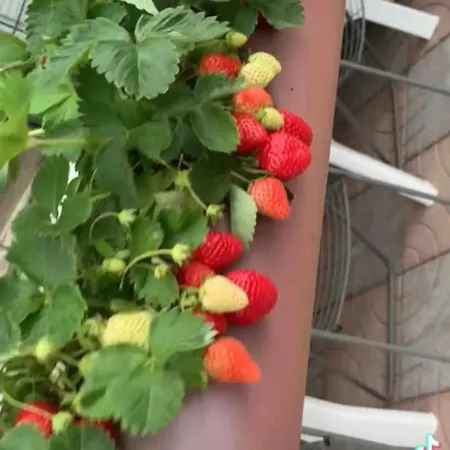 Habitación en casa particular Linda