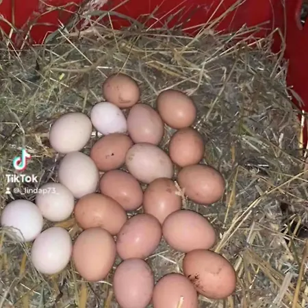 Ubytování v soukromí Linda