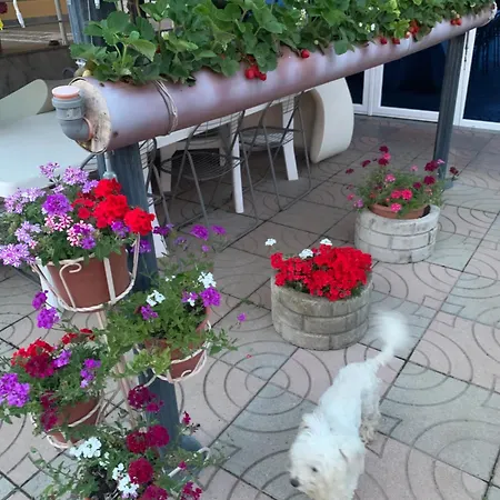 Habitación en casa particular Linda *