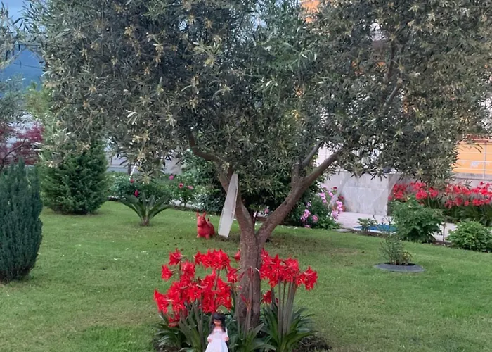 Linda Homestay szállás Shkodra